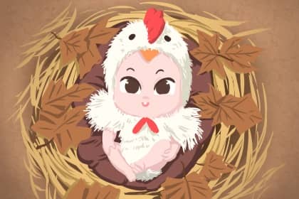 择吉老黄历 择吉日历 择吉日查询
