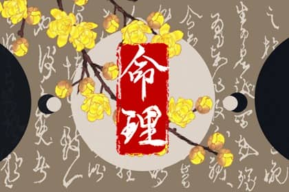 择吉老黄历|择吉日历|择吉皇历